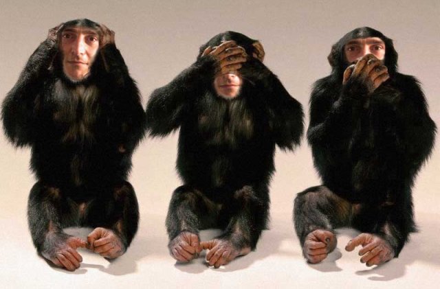 ja-majmun.jpg, 38 KB